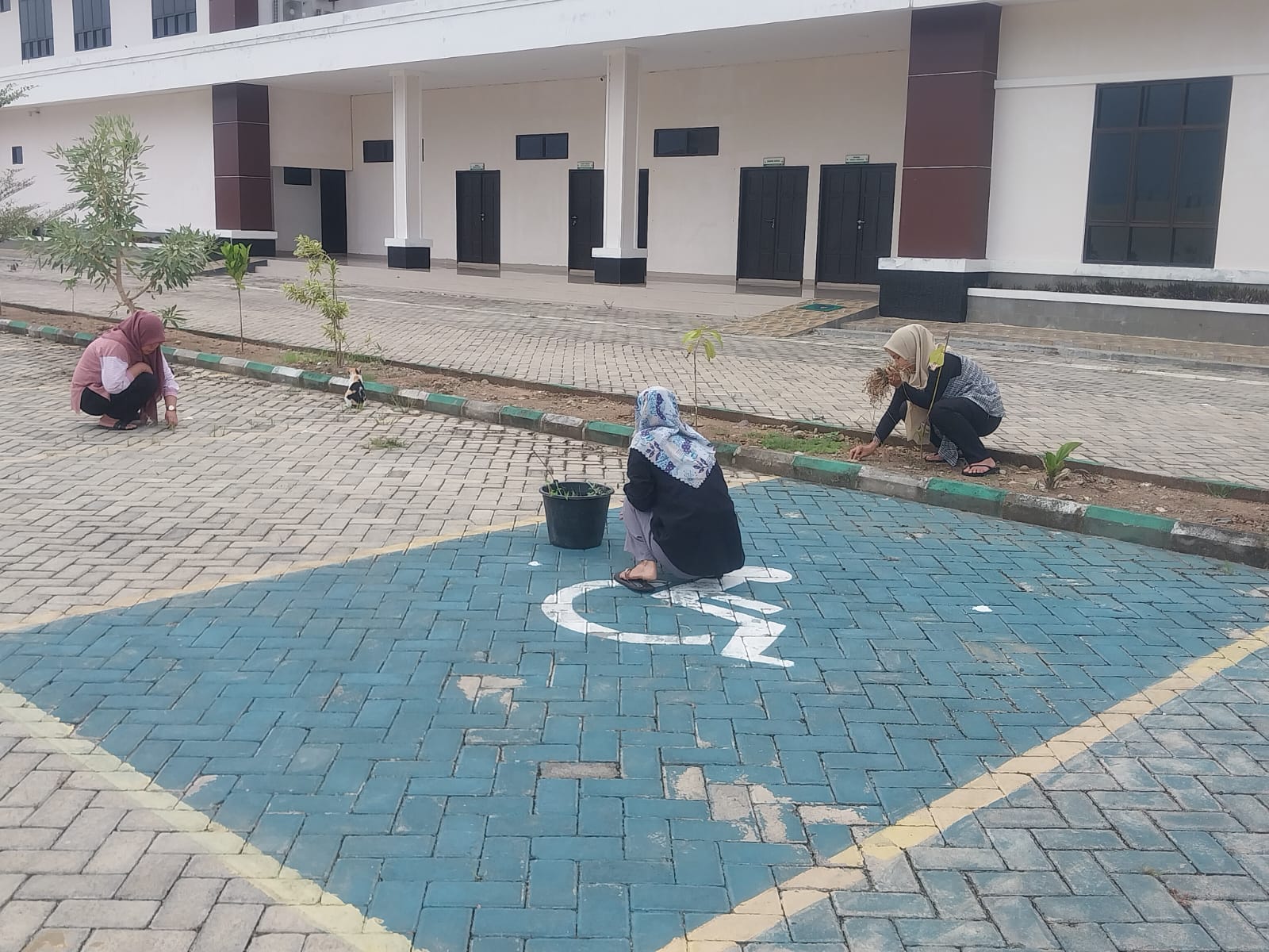 WhatsApp Image 2024 08 30 at 08.16.52